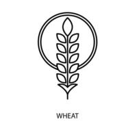 wheat concept line icon. Simple element illustration. wheat concept outline symbol design. vector