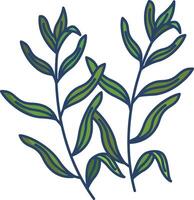 Tarragon linear color illustration vector