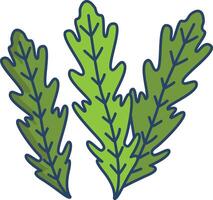 Arugula linear color illustration vector
