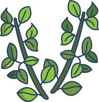 Thyme linear color illustration vector