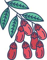 Barberry leaf linear color illustration vector