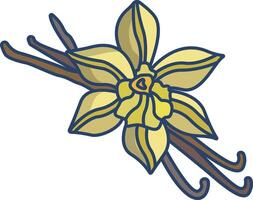 Vanilla linear color illustration vector