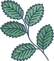 Mint leaf linear color illustration vector