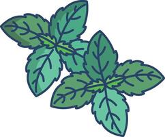 Basil leaf linear color illustration vector