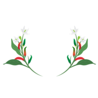 chili or spice plant element isolated on background png