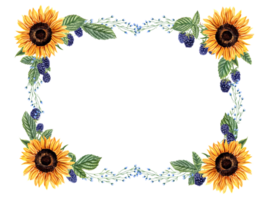 Sunflowers, blackberry and herbs. Horizontal frame with wild meadow plants and berries. Blue, orange yellow flowers. Floral summer design. Empty space for text. Watercolor illustration for greeting png