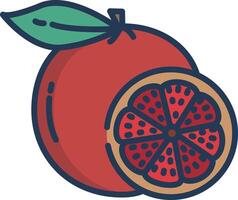 Grapefruit cut linear color illustration vector