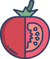 Tomato slice linear color illustration vector