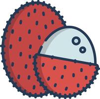 Lychee slice linear color illustration vector