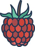 Raspberry cut linear color illustration vector