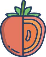 Persimmon slice linear color illustration vector