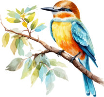 Bird on branch clipart design illustration png