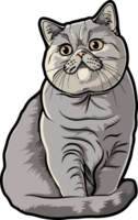 británico gato clipart diseño ilustración png