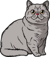 británico gato clipart diseño ilustración png