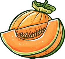 Cantaloupe clipart design illustration png