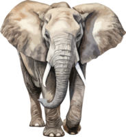 elefant ClipArt design illustration png