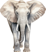 olifant clip art ontwerp illustratie png