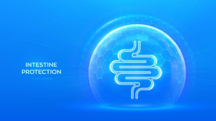 Intestine care and protection. Healthy Intestine medical concept. Human Intestine bowel anatomy organ icon inside protection dome sphere shield with hexagon pattern on blue background. .
