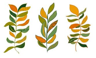 Set of branches with bright leaves on a white background. Floral elements. Vibrant botanical illustrations. vector