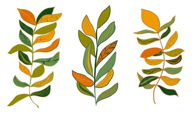 Set of branches with bright leaves on a white background. Floral elements. Vibrant botanical illustrations.