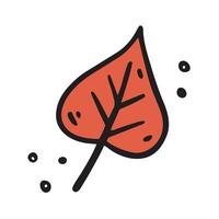 Hand drawn autumn Leaf of aspen. Illustration in Doodle style. Isolated on white background. vector