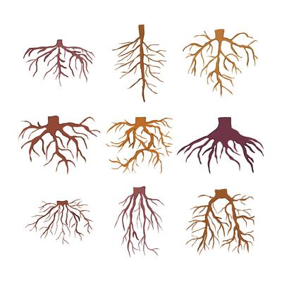 tree root set cartoon illustration