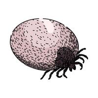 bug tick sketch hand drawn vector