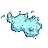 drop water puddle sketch hand drawn vector