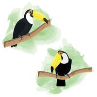 Watercolor Background witih Toucan sitting on a Branch, Bird, Isolated, Nature, Tropic, Watercolor, Isolated vector