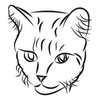 A simple cat in doodle style. illustration isolated on white background. vector