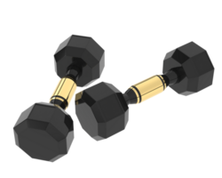 Dumbbell isolated on background. 3d rendering - illustration png