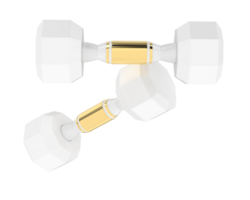 Dumbbell isolated on background. 3d rendering - illustration png