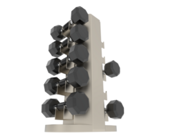 Weight tree with dumbbells isolated on background. 3d rendering - illustration png