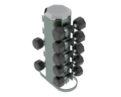Weight tree with dumbbells isolated on background. 3d rendering - illustration png