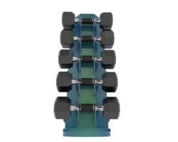 Weight tree with dumbbells isolated on background. 3d rendering - illustration png