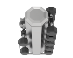 Weight tree with dumbbells isolated on background. 3d rendering - illustration png