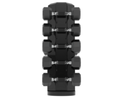 Weight tree with dumbbells isolated on background. 3d rendering - illustration png