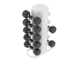 Weight tree with dumbbells isolated on background. 3d rendering - illustration png