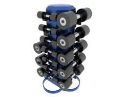 Weight tree with dumbbells isolated on background. 3d rendering - illustration png