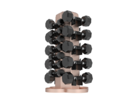 Weight tree with dumbbells isolated on background. 3d rendering - illustration png