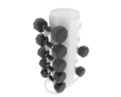 Weight tree with dumbbells isolated on background. 3d rendering - illustration png