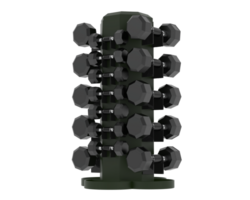 Weight tree with dumbbells isolated on background. 3d rendering - illustration png