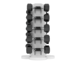 Weight tree with dumbbells isolated on background. 3d rendering - illustration png