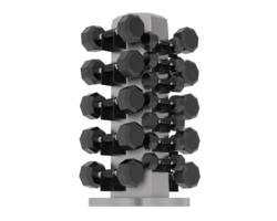 Weight tree with dumbbells isolated on background. 3d rendering - illustration png