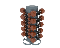 Weight tree with dumbbells isolated on background. 3d rendering - illustration png