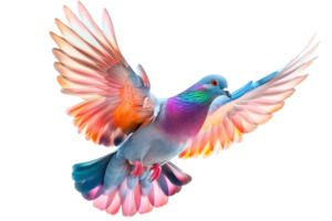 A vibrant dove with colorful wings in flight png