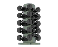 Weight tree with dumbbells isolated on background. 3d rendering - illustration png