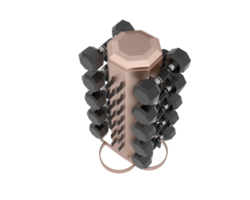 Weight tree with dumbbells isolated on background. 3d rendering - illustration png