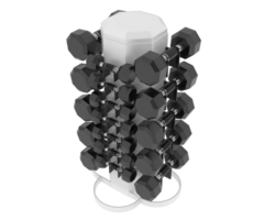 Weight tree with dumbbells isolated on background. 3d rendering - illustration png