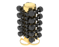 Weight tree with dumbbells isolated on background. 3d rendering - illustration png